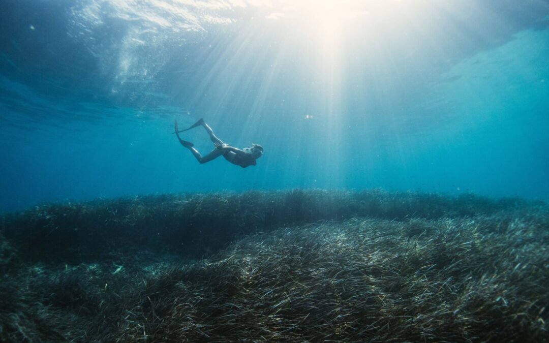 Ibiza ecológica: disfruta de un turismo sostenible en Ibiza