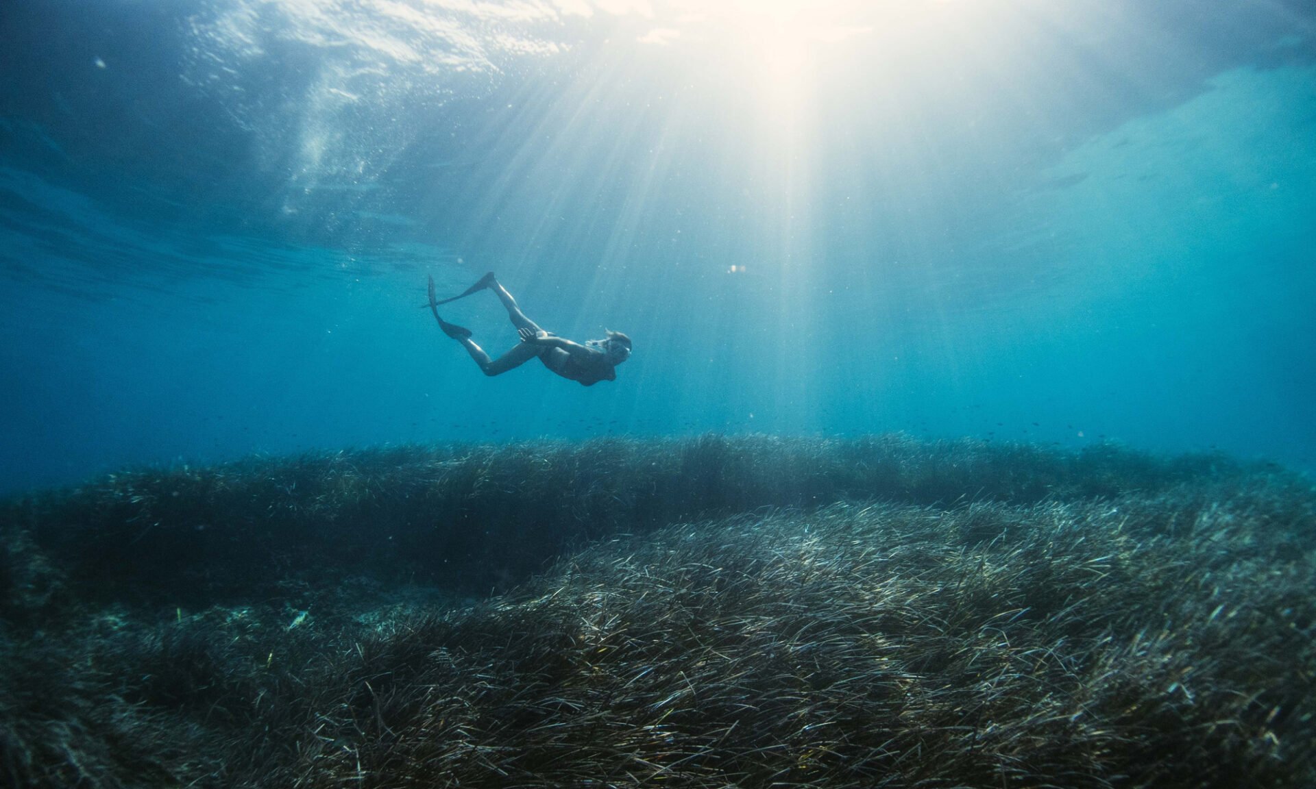 posidonia-formentera-ibiza-sustainable-tourism