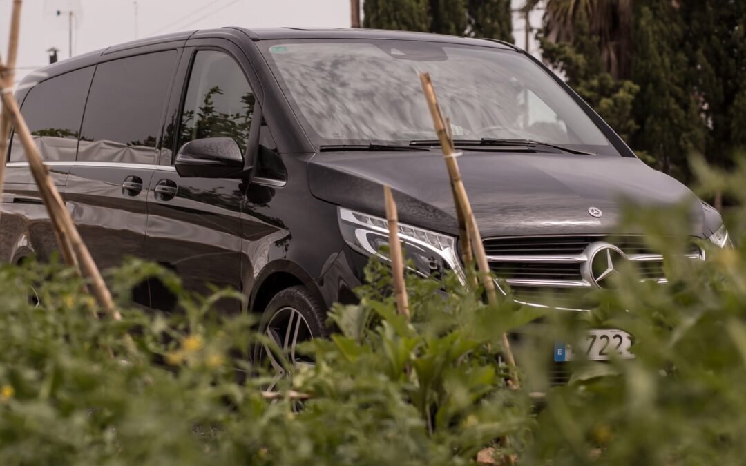 Gestión consciente del transporte privado en Ibiza